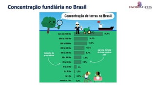 Concentração fundiária no Brasil
 