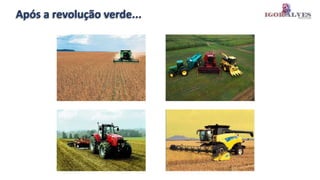Após a revolução verde...
 