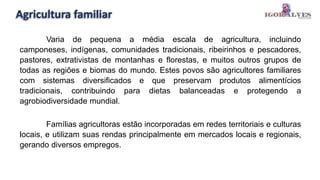 Agricultura familiar
Varia de pequena a média escala de agricultura, incluindo
camponeses, indígenas, comunidades tradicionais, ribeirinhos e pescadores,
pastores, extrativistas de montanhas e florestas, e muitos outros grupos de
todas as regiões e biomas do mundo. Estes povos são agricultores familiares
com sistemas diversificados e que preservam produtos alimentícios
tradicionais, contribuindo para dietas balanceadas e protegendo a
agrobiodiversidade mundial.
Famílias agricultoras estão incorporadas em redes territoriais e culturas
locais, e utilizam suas rendas principalmente em mercados locais e regionais,
gerando diversos empregos.
 