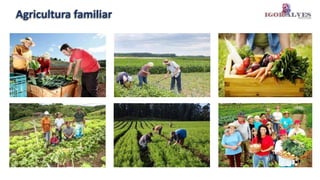 Agricultura familiar
 