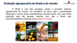 Produção agropecuária do Brasil e do mundo
O Brasil é uma das principais, senão a principal, potência
agropecuária do mundo, um somatório de clima, solo e pluviosidade
adequada e outras tantas características naturais fazem com que nossa
produção seja tão elevada fazendo com que o Brasil seja
internacionalmente conhecido como celeiro do mundo.
 