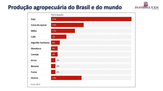 Produção agropecuária do Brasil e do mundo
 