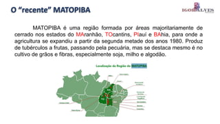 O “recente” MATOPIBA
MATOPIBA é uma região formada por áreas majoritariamente de
cerrado nos estados do MAranhão, TOcantins, PIauí e BAhia, para onde a
agricultura se expandiu a partir da segunda metade dos anos 1980. Produz
de tubérculos a frutas, passando pela pecuária, mas se destaca mesmo é no
cultivo de grãos e fibras, especialmente soja, milho e algodão.
 