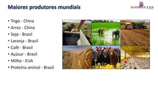 Maiores produtores mundiais
• Trigo - China
• Arroz - China
• Soja - Brasil
• Laranja - Brasil
• Café - Brasil
• Açúcar - Brasil
• Milho - EUA
• Proteína animal - Brasil
 
