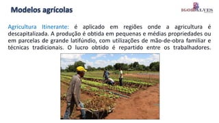 Modelos agrícolas
Agricultura Itinerante: é aplicado em regiões onde a agricultura é
descapitalizada. A produção é obtida em pequenas e médias propriedades ou
em parcelas de grande latifúndio, com utilizações de mão-de-obra familiar e
técnicas tradicionais. O lucro obtido é repartido entre os trabalhadores.
 
