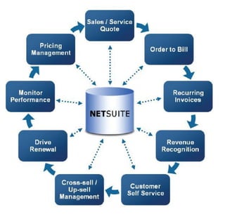 NetSuite Partners | Chetu