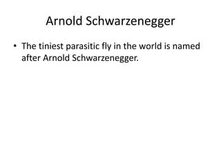 Arnold Schwarzenegger
• The tiniest parasitic fly in the world is named
after Arnold Schwarzenegger.
 