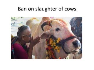 Ban on slaughter of cows
 