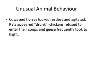 Unusual Animal Behaviour
• Cows and horses looked restless and agitated.
Rats appeared "drunk", chickens refused to
enter their coops and geese frequently took to
flight.
 