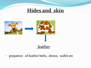 Hides and skin
leather
• prepation of leather belts, shows, wallet etc
 