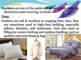  (6) Feathers:
Feathers are one of the epidermal growths that form the
distinctive outer covering, on birds.
Uses:
Feathers are soft & excellent at trapping heat; thus, they
are sometimes used in high-class bedding, especially
pillows, blankets, and mattresses. And also used as
filling for winter clothing and outdoor bedding, such as
quilted coats and sleeping bags etc.
 