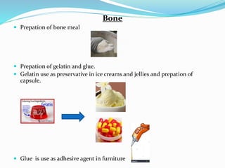 Bone
 Prepation of bone meal
 Prepation of gelatin and glue.
 Gelatin use as preservative in ice creams and jellies and prepation of
capsule.
 Glue is use as adhesive agent in furniture
 