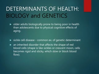 DETERMINANTS OF HEALTH:
BIOLOGY and GENETICS
 older adults biologically prone to being poor in health
than adolescents due to physical cognitive effects of
aging.
 sickle cell disease - common ex. of genetic determinant
 an inherited disorder that affects the shape of red
blood cells (shape is like sickles or crescent moon, cells
becomes rigid and sticky, which slow or block blood
flow).
 