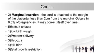 Gorgeous Can Marginal Cord Insertion Correct Itself Moment Nature Gorgeous Can Marginal Cord Insertion Correct Itself Moment Nature