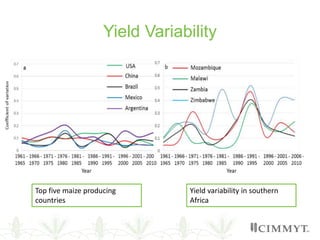 Yield Variability
Top five maize producing
countries
Yield variability in southern
Africa
 