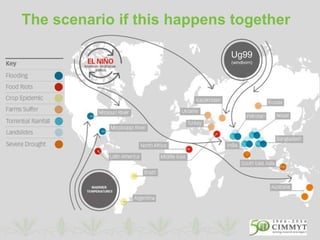 The scenario if this happens together
Ug99
(windborn)
 