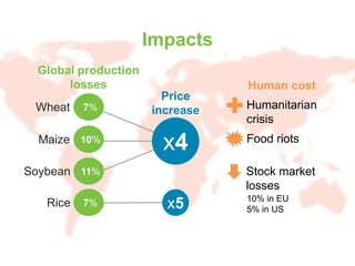 Price
increase
s
x4
x5
Stock market
losses
Food riots
Humanitarian
crisis
Human cost
10% in EU
5% in US
Wheat
Maize
Rice
Soybean
7%
10%
11%
Global production
losses
7%
Impacts
 