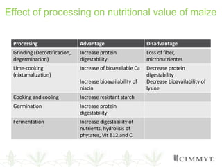 Processing Advantage Disadvantage
Grinding (Decortificacion,
degerminacion)
Increase protein
digestability
Loss of fiber,
micronutrientes
Lime-cooking
(nixtamalization)
Increase of bioavailable Ca
Increase bioavailability of
niacin
Decrease protein
digestability
Decrease bioavailability of
lysine
Cooking and cooling Increase resistant starch
Germination Increase protein
digestability
Fermentation Increase digestability of
nutrients, hydrolisis of
phytates, Vit B12 and C.
Effect of processing on nutritional value of maize
 