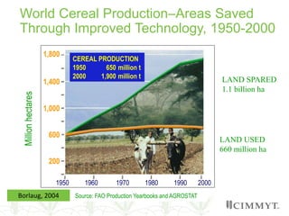 World Cereal Production–Areas Saved
Through Improved Technology, 1950-2000
CEREAL PRODUCTION
1950 650 million t
2000 1,900 million t
1,800
1,400
1,000
600
1950 1960 1970 1980 1990 2000
LAND SPARED
1.1 billion ha
LAND USED
660 million ha
Millionhectares
200
Source: FAO Production Yearbooks and AGROSTATBorlaug, 2004
 