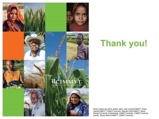 Thank you!
Photo Credits (top left to bottom right): Julia Cumes/CIMMYT, Awais
Yaqub/CIMMYT, CIMMYT archives, Marcelo Ortiz/CIMMYT, David
Hansen/University of Minnesota, CIMMYT archives, CIMMYT archives
(maize), Ranak Martin/CIMMYT, CIMMYT archives.
 