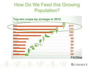 How Do We Feed this Growing
Population?
FAOStat
 