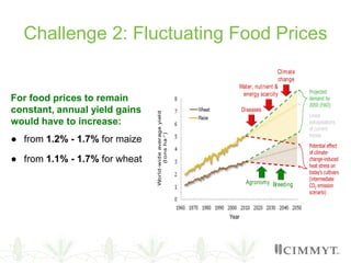 Challenge 2: Fluctuating Food Prices
For food prices to remain
constant, annual yield gains
would have to increase:
● from 1.2% - 1.7% for maize
● from 1.1% - 1.7% for wheat
Diseases
Climate
change
BreedingAgronomy
Projected
demand by
2050 (FAO)
World-wideaverageyield
(tonsha-1)
Linear
extrapolations
of current
trends
Water, nutrient &
energy scarcity
Potential effect
of climate-
change-induced
heat stress on
today’s cultivars
(intermediate
CO2 emission
scenario)
Year
 