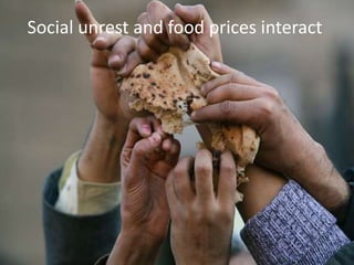 Social unrest and food prices interact
 