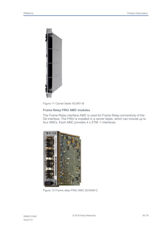 FNS Product nokia system Description.pdf