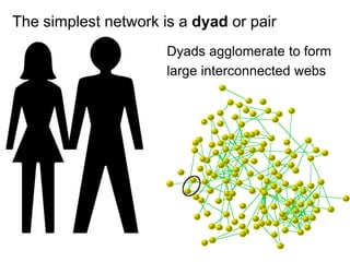 Dyads agglomerate to form
large interconnected webs
The simplest network is a dyad or pair
 