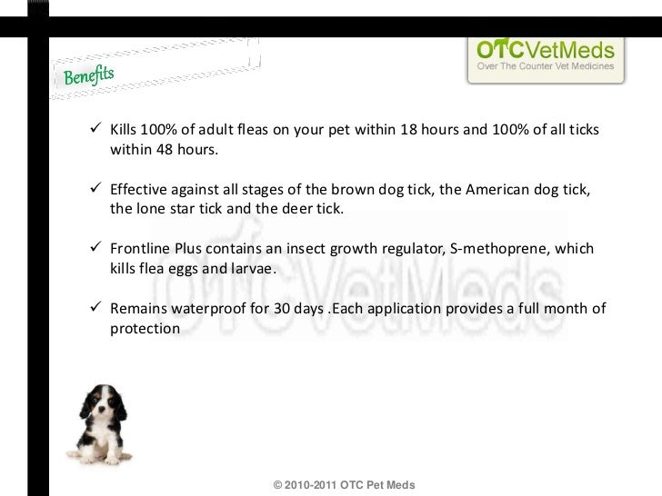 frontline plus for extra large dogs