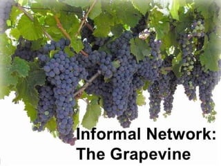 Organizational communication