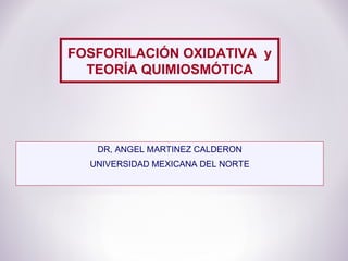 DR, ANGEL MARTINEZ CALDERON UNIVERSIDAD MEXICANA DEL NORTE FOSFORILACIÓN OXIDATIVA  y TEORÍA QUIMIOSMÓTICA 