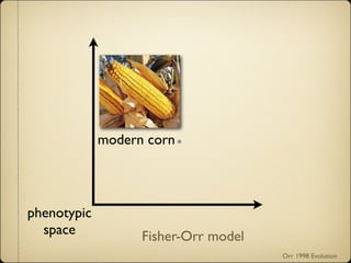 modern corn
phenotypic
space Fisher-Orr model
Orr 1998 Evolution
 