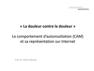 « La douleur contre la douleur »

Le comportement d’automutilation (CAM)
     et sa représentation sur Internet



 Prof. Dr. Sabina Misoch
 