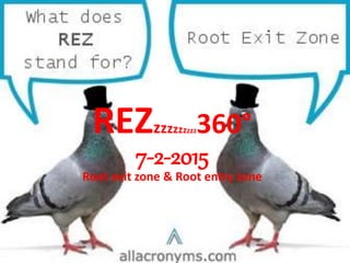 REZzzzzzzzzz360°
31-1-2016
11.50 pm
Root exit zone & Root entry zone
 