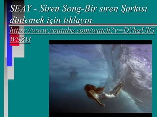 SEAY - Siren Song-Bir siren Şarkısı
dinlemek için tıklayın
https://www.youtube.com/watch?v=DYhgUlG
WSZM
 