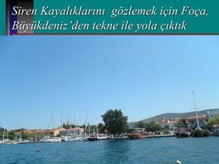 Siren Kayalıklarını gözlemek için Foça,
Büyükdeniz’den tekne ile yola çıktık
 