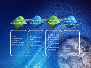 Aide méthodologique  L'expertise du contenu  Une aide à l'évaluation  Un soutien d'ordre psychologique  C’est l’organisation du travail adaptée à votre propre rythme C’est une aide à la compréhension et à l'appropriation  C’est une aide à la mesure de la progression et aux réajustements, et à l’évaluation de vos acquis. C’est une aide à la motivation  