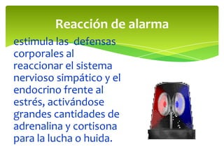 Reacción de alarma
estimula las defensas
corporales al
reaccionar el sistema
nervioso simpático y el
endocrino frente al
estrés, activándose
grandes cantidades de
adrenalina y cortisona
para la lucha o huida.

 