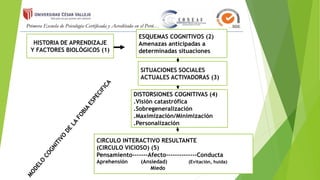 CIRCULO INTERACTIVO RESULTANTE
(CIRCULO VICIOSO) (5)
Pensamiento-------Afecto--------------Conducta
Aprehensión (Ansiedad) (Evitación, huida)
Miedo
DISTORSIONES COGNITIVAS (4)
.Visión catastrófica
.Sobregeneralización
.Maximización/Minimización
.Personalización
SITUACIONES SOCIALES
ACTUALES ACTIVADORAS (3)
ESQUEMAS COGNITIVOS (2)
Amenazas anticipadas a
determinadas situaciones
HISTORIA DE APRENDIZAJE
Y FACTORES BIOLÓGICOS (1)
 