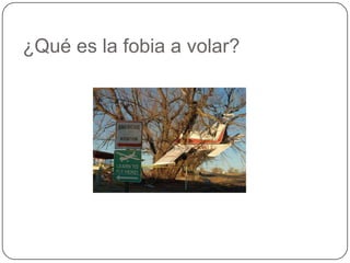 ¿Qué es la fobia a volar?
 
