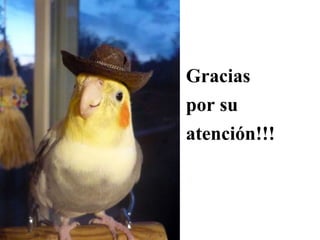 Gracias
por su
atención!!!
 