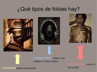 ¿Qué tipos de fobias hay?




                            Catoptrofobia     (miedo a los
                            espejos o verse en ellos)
                                                              Afenfosfobia   (miedo a
Canofobia (miedo a los perros)                               ser tocado)
 