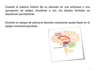 Cuando el sistema límbico fija su atención en una amenaza o una percepción de peligro (existente o no), los lóbulos frontales se desactivan parcialmente.  Durante un ataque de pánico   la atención consciente queda fijada en el peligro inminente percibido. 