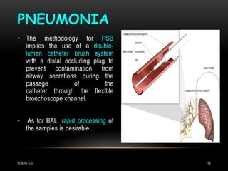 PNEUMONIA
FOB IN ICU 13
• The methodology for PSB
implies the use of a double-
lumen catheter brush system
with a distal occluding plug to
prevent contamination from
airway secretions during the
passage of the
catheter through the flexible
bronchoscope channel.
• As for BAL, rapid processing of
the samples is desirable .
 