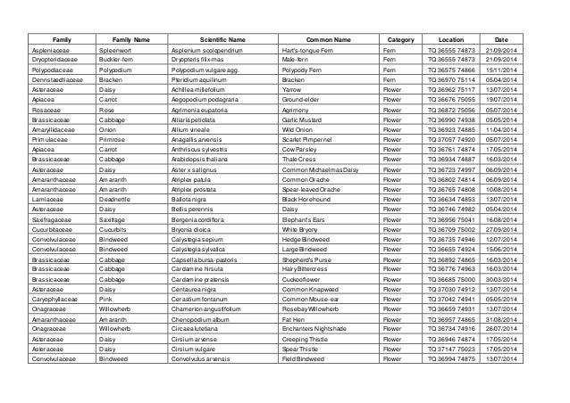 brockley ladywell cemeteries plant species list name list