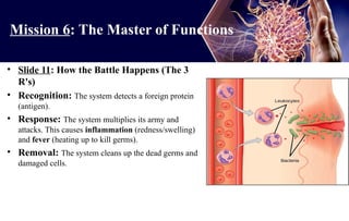 fundamental of biology semester 1 presentation-1.pptx