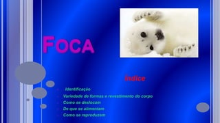 FOCA
Índice
 Identificação
 Variedade de formas e revestimento do corpo
 Como se deslocam
 De que se alimentam
 Como se reproduzem
 