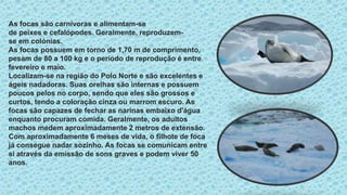 As focas são carnívoras e alimentam-se
de peixes e cefalópodes. Geralmente, reproduzem-
se em colónias.​
As focas possuem em torno de 1,70 m de comprimento,
pesam de 80 a 100 kg e o período de reprodução é entre
fevereiro e maio.​
Localizam-se na região do Polo Norte e são excelentes e
ágeis nadadoras. Suas orelhas são internas e possuem
poucos pelos no corpo, sendo que eles são grossos e
curtos, tendo a coloração cinza ou marrom escuro. As
focas são capazes de fechar as narinas embaixo d'água
enquanto procuram comida. Geralmente, os adultos
machos medem aproximadamente 2 metros de extensão.
Com aproximadamente 6 meses de vida, o filhote de foca
já consegue nadar sozinho. As focas se comunicam entre
si através da emissão de sons graves e podem viver 50
anos.
 