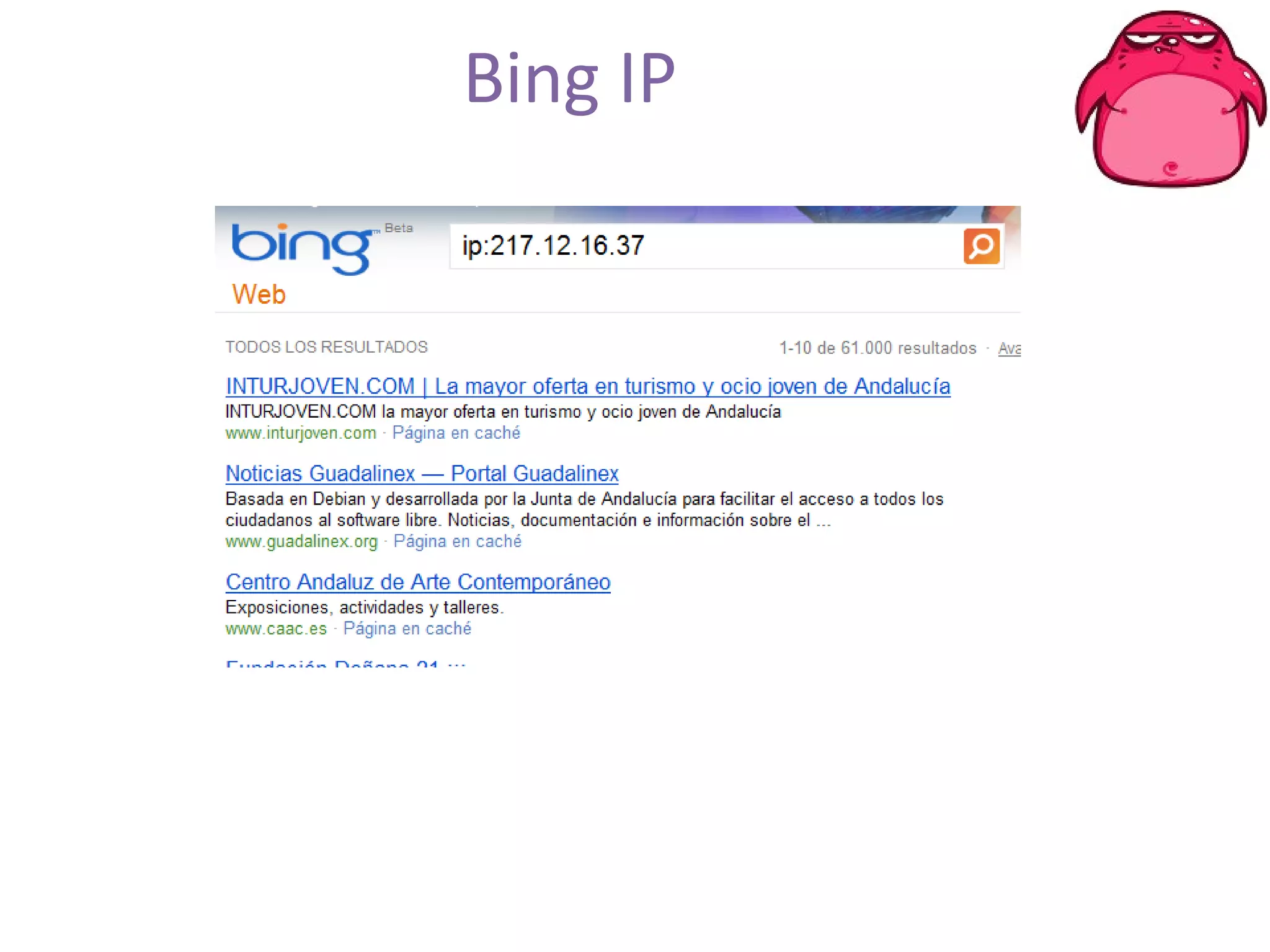 Bing IP 